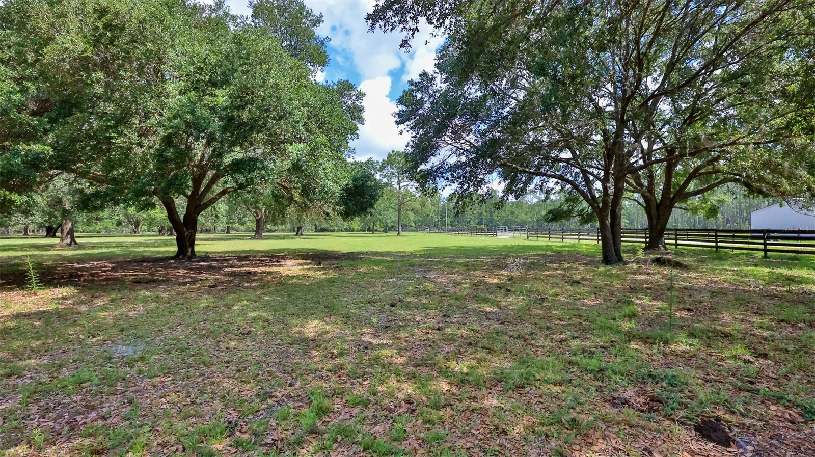 Howe & Curriers Allotment - Land