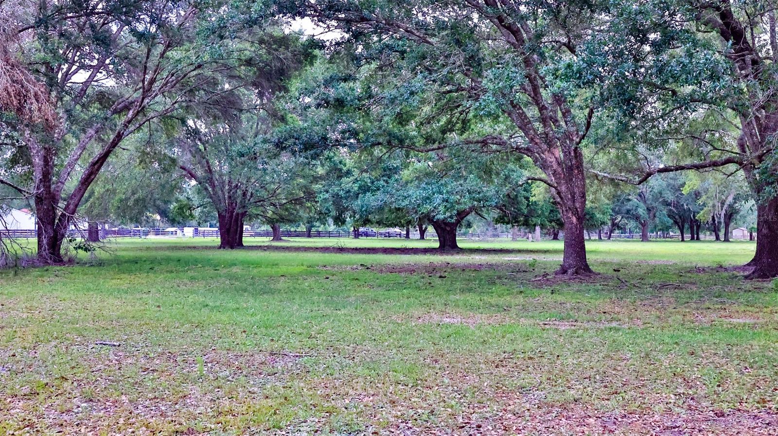 Howe & Curriers Allotment - Land