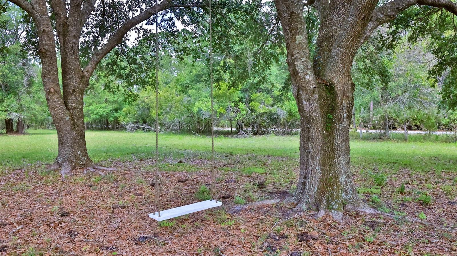 Howe & Curriers Allotment - Land