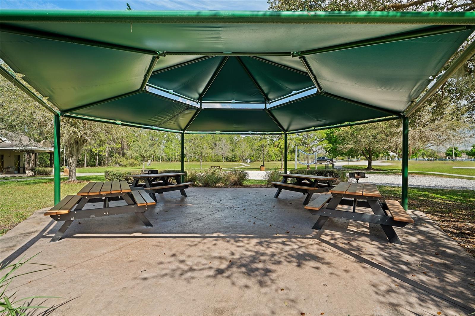 ASHLEY PARK AT HARMONY - Residential