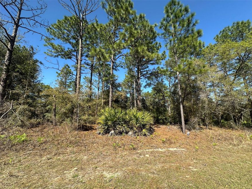 Prime .23 Acre Lot in Citrus Springs – Ready to Build! 80x125 lot in Unit 23 with water and sewer available and electricity nearby. Surrounded by a mix of beautifully maintained homes in a peaceful, tucked-away setting. Enjoy access to golf, tennis, clubhouse, parks, trails, and more. Just 15 minutes to Dunnellon, 25 minutes to Ocala and Inverness, and 18 miles to the Gulf at Crystal River. Build now or invest for the future. Drive by and see the potential for yourself.