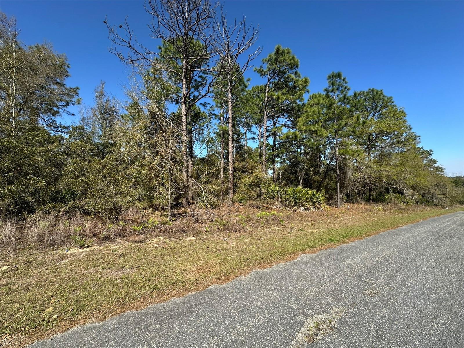 CITRUS SPGS UNIT 23 - Land