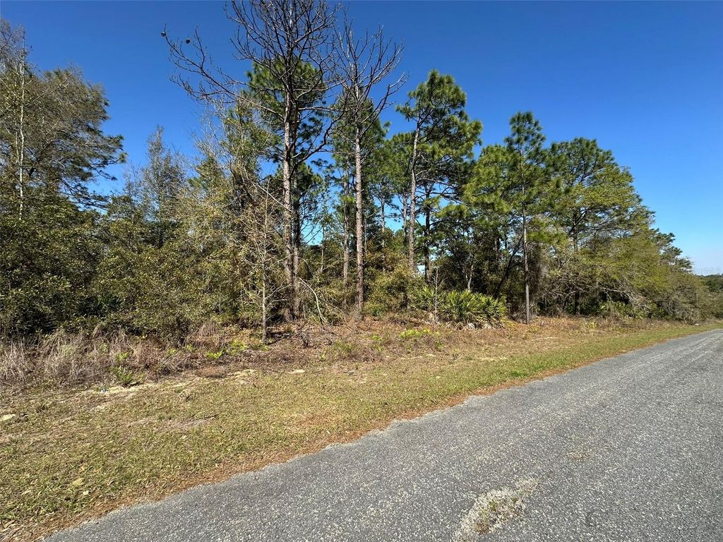 Photo of 833 W Champlain Lane, Citrus Springs, FL 34434 (MLS # OM719810)