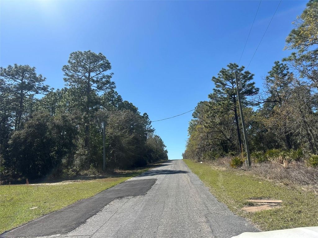 Photo of 833 W Champlain Lane, Citrus Springs, FL 34434 (MLS # OM719810)