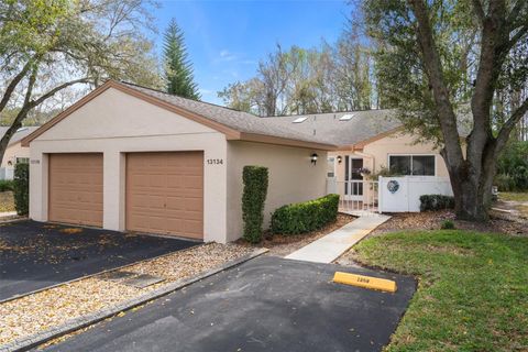 13134 CYPRESS HILL DRIVE HUDSON FL 34669