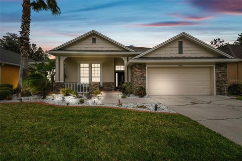 7410 AMBLESIDE DRIVE LAND O LAKES FL 34637