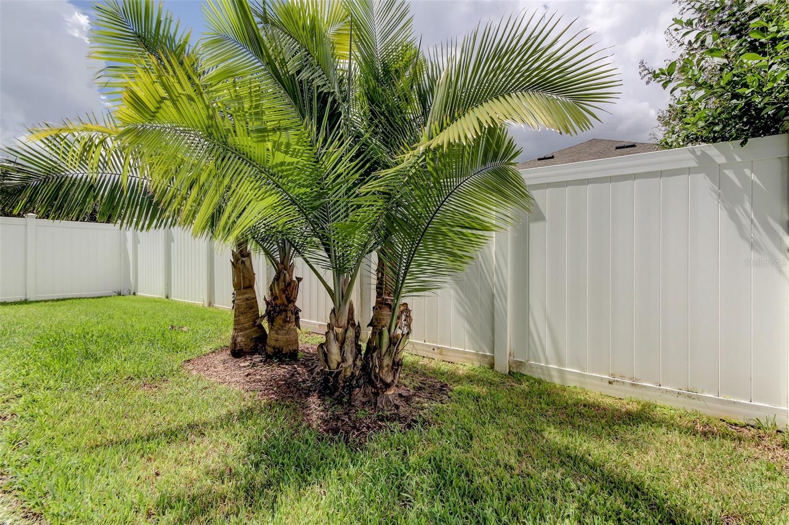 OAKSTEAD PRCL 08 - Residential