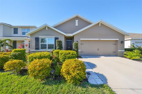 A home in WIMAUMA