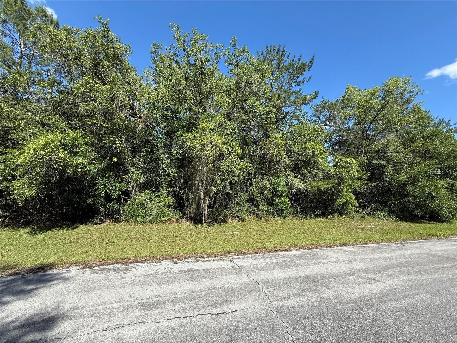 Explore the perfect opportunity to build your dream home or invest in the growing Marion Oaks community! This .23-acre lot is high and dry, located in a NO flood zone, ensuring peace of mind. Nestled in an established area, this property offers easy access to shopping, dining, schools, Marion Oaks Recreation center and major highways, including I-75 for convenient travel. With no HOA restrictions. and expanding economy. Don't miss your opportunity!