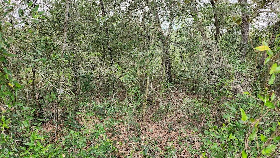 RAINBOW LAKES ESTATE - Land