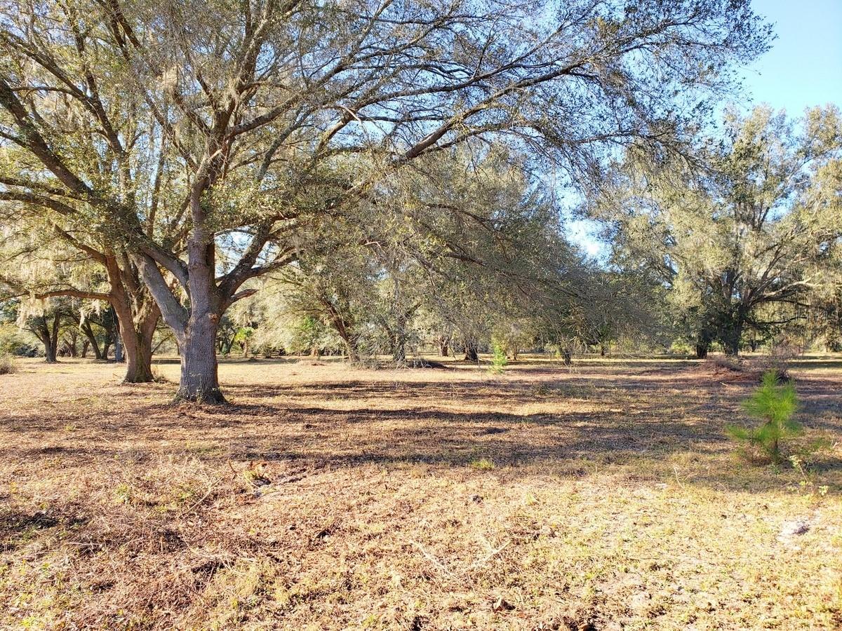 Good looking land not far from town on paved, county road for only $9,919/acre! Large live oaks on sandhill overlooking picturesque pond known locally as Lake Claire providing perfect sunrises for the nature lover or outdoor enthusiast! A MUST SEE! The ponds/lakes provide great privacy. 30 minutes from Ocala and/or Gainesville, GREAT LOCATION! 5 minutes from Horseshoe Lake, 5 minutes from Ocklawaha River, 10 minutes from Ocala National Forest, 30 minutes to St. Johns River and 1 hour to St. Augustine Beach. Additional acreage available (10 acres up to 203 acres). OWNER FINANCING AVAILABLE... 10% Down, 10.9% Interest, 10-year amortization, 3-year balloon, Mo. Pmts = $1,367 (Buyer pays all Closing Costs on Owner Financed Purchases (includes Doc Stamps on Deed & Mortgage, Intangible Tax on Mortgage, Title Insurance, $100 Loan Fee, $10/mo. Collection Fee... total estimated to be approx. $2,750).