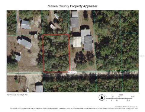 TBD NE 233RD PLACE FORT MC COY FL 32134