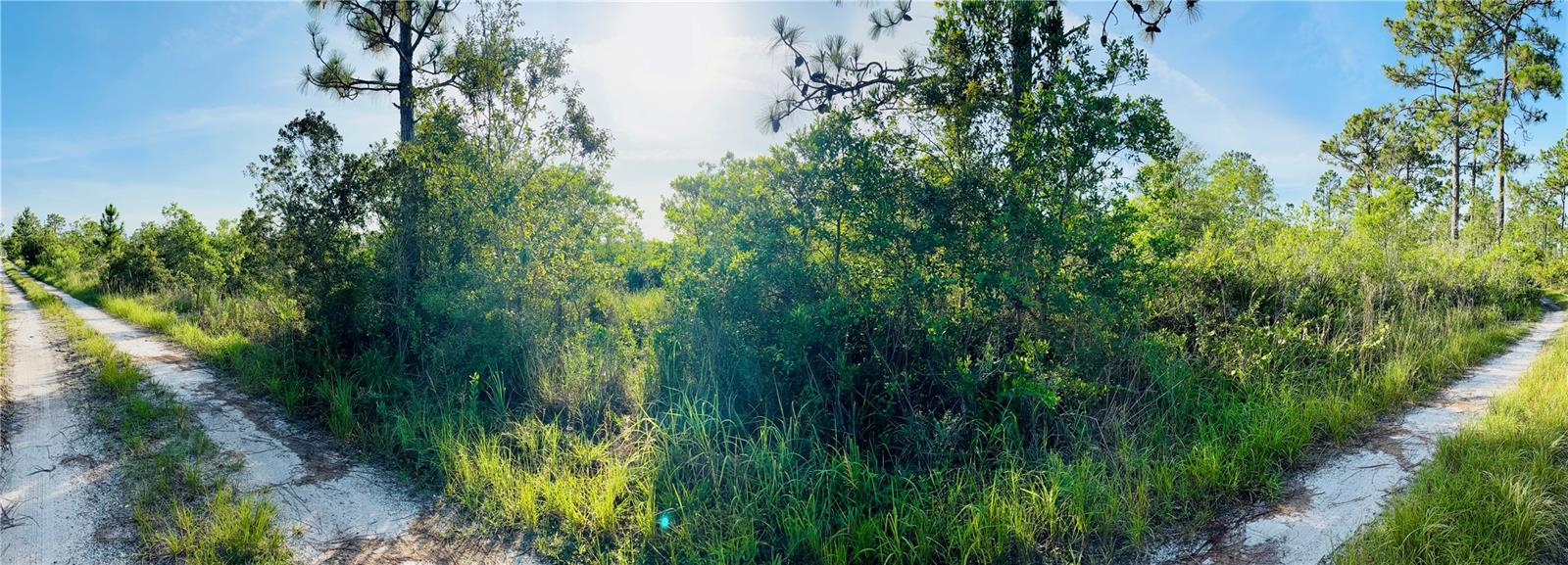 ACREAGE & UNREC - Land