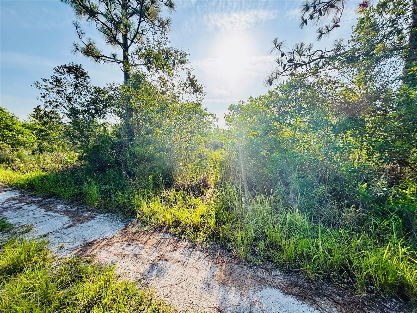 In an ever-developing Florida, now is your chance to snag a piece of land over an acre in size. Located between the Atlantic Ocean and Walt Disney World, you'll be a short drive to some of the most visited destinations in Florida! Golfing, restaurants, theme parks, the beach, and so much more will be accessible with this property. No HOA, no CDD, no one breathing down your neck for making changes to the property! This is also in a USDA eligible area, giving you a better opportunity for purchase! So many great things about this lot!