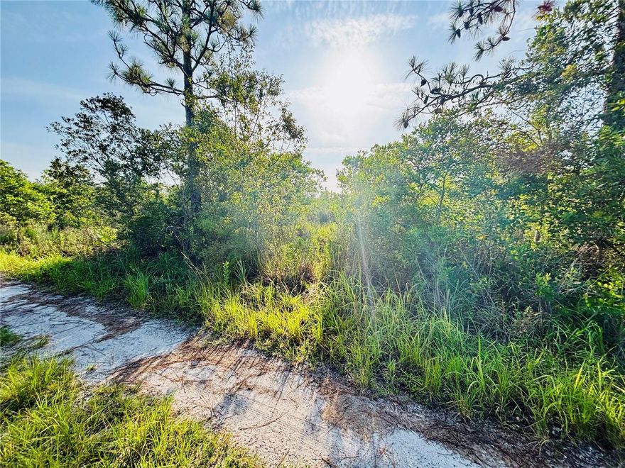 In an ever-developing Florida, now is your chance to snag a piece of land over an acre in size. Located between the Atlantic Ocean and Walt Disney World, you'll be a short drive to some of the most visited destinations in Florida! Golfing, restaurants, theme parks, the beach, and so much more will be accessible with this property. No HOA, no CDD, no one breathing down your neck for making changes to the property! This is also in a USDA eligible area, giving you a better opportunity for purchase! So many great things about this lot!