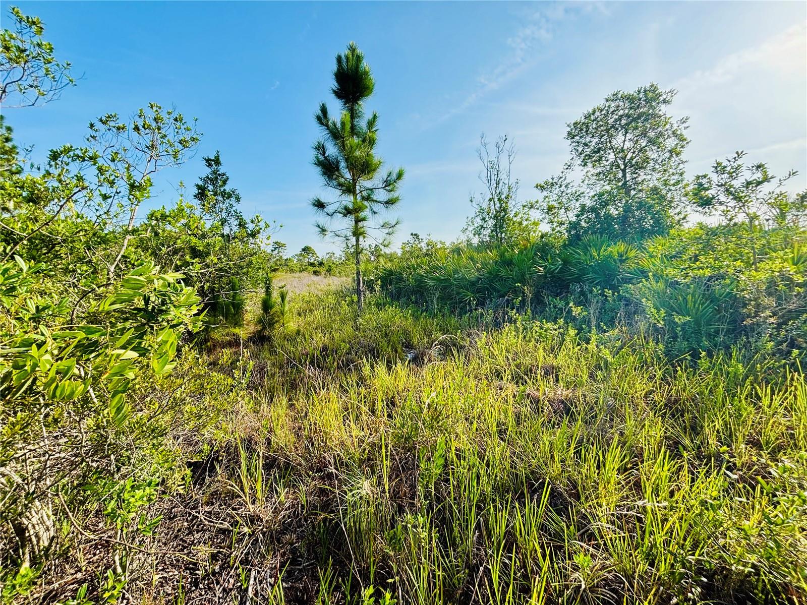ACREAGE & UNREC - Land