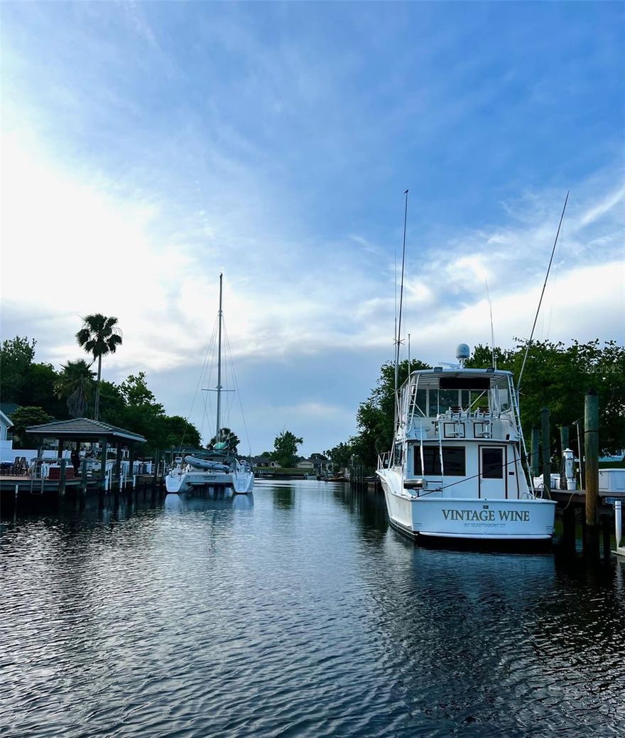 LOCATION IS KEY: This is your chance to live along the water in Palm Coast's "Sailboat Country" neighborhood—a dream spot for boating enthusiasts. With 60 feet of saltwater canal frontage, deep water access, and only a quick 5–10 minute boat ride to the Intracoastal Waterway and Matanzas Inlet, this property is one of the last prime saltwater homesites available. Whether you love fishing, boating, or simply watching dolphins and manatees from your backyard, you'll find plenty to enjoy here.
You’ll also have easy access to I-95, making trips to St. Augustine or Daytona a breeze. Shopping, medical facilities, schools and beaches are all conveniently nearby.