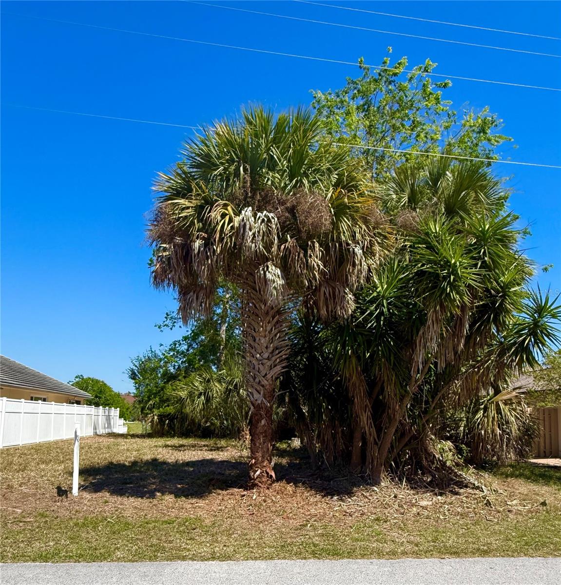 PALM COAST SEC 15 - Land