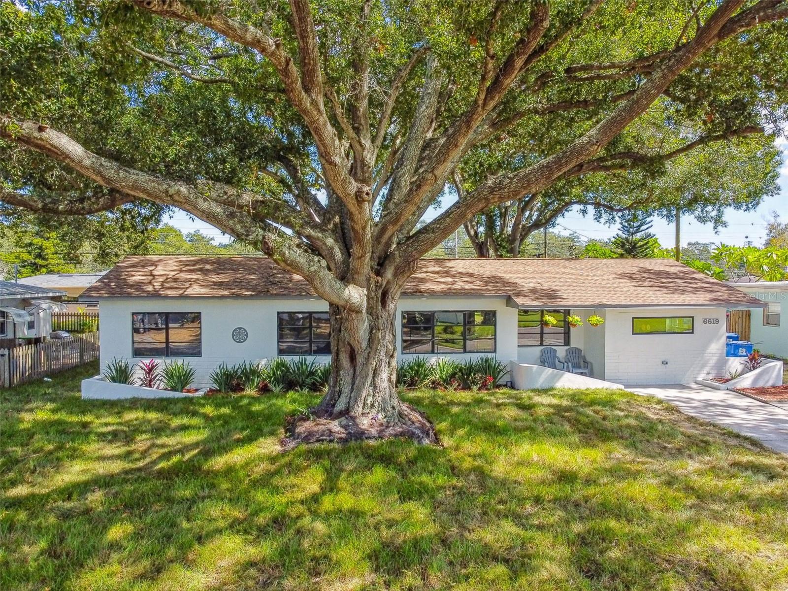 MEADOW LAWN - Residential