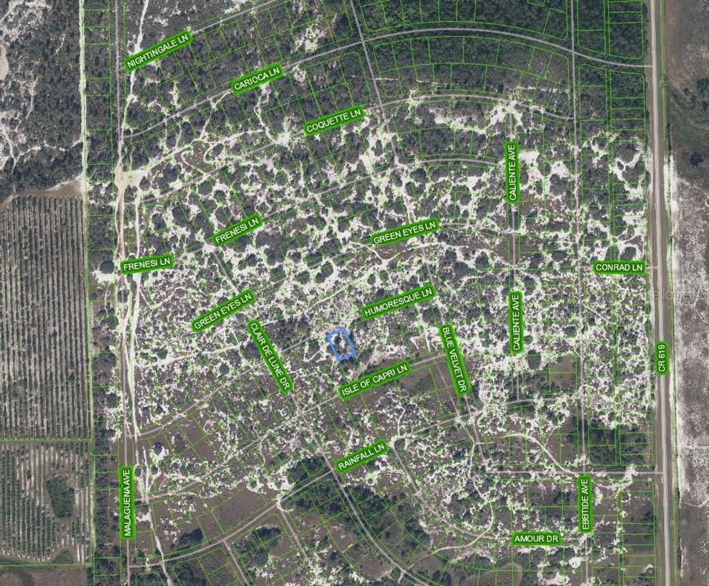 Photo of 463 Humoresque Lane, Lake Placid, FL 33852 (MLS # O6303821)