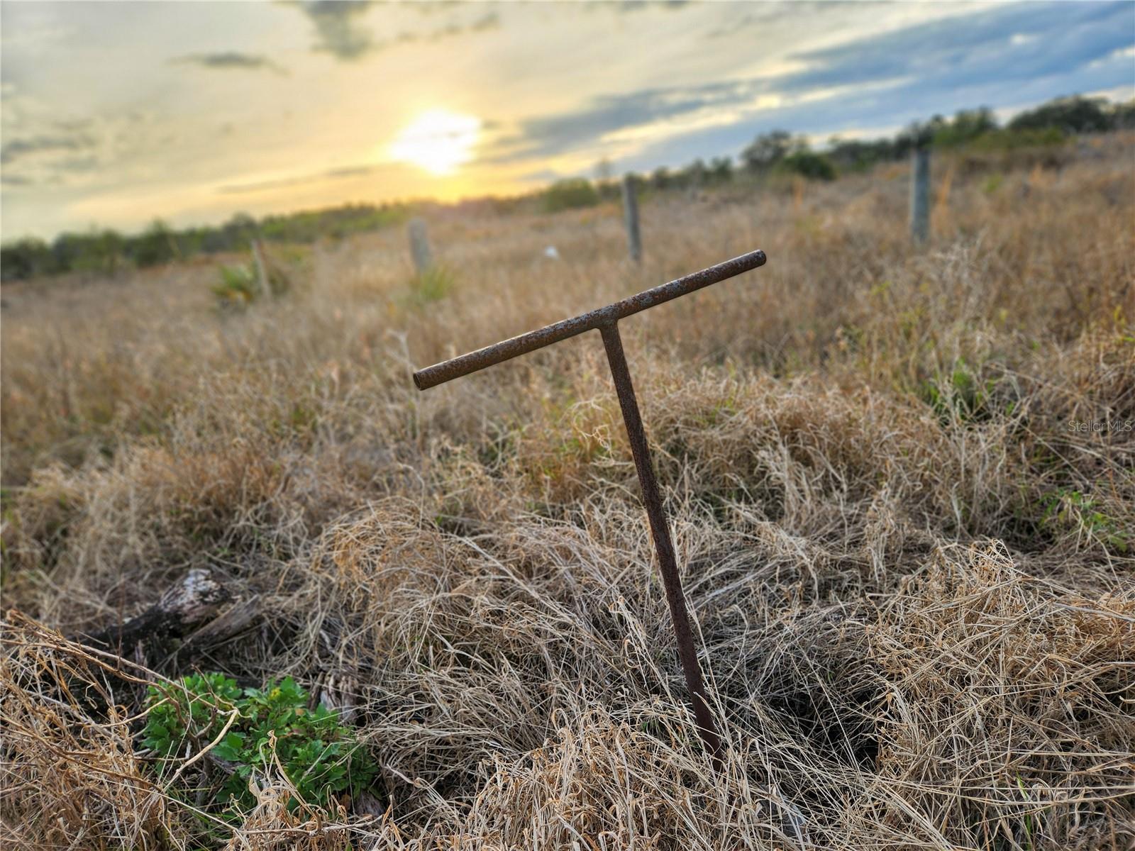 OAKRIDGE ESTATES PHASE 10 PB 83 PG 5 LOT 11 LYING - Land