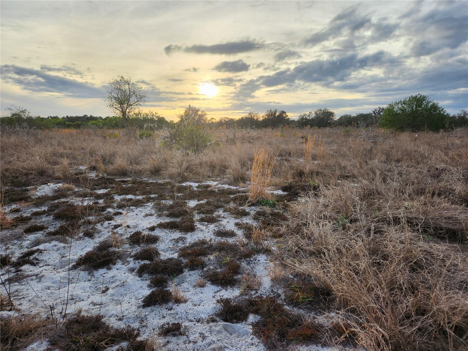 OAKRIDGE ESTATES PHASE 10 PB 83 PG 5 LOT 11 LYING - Land