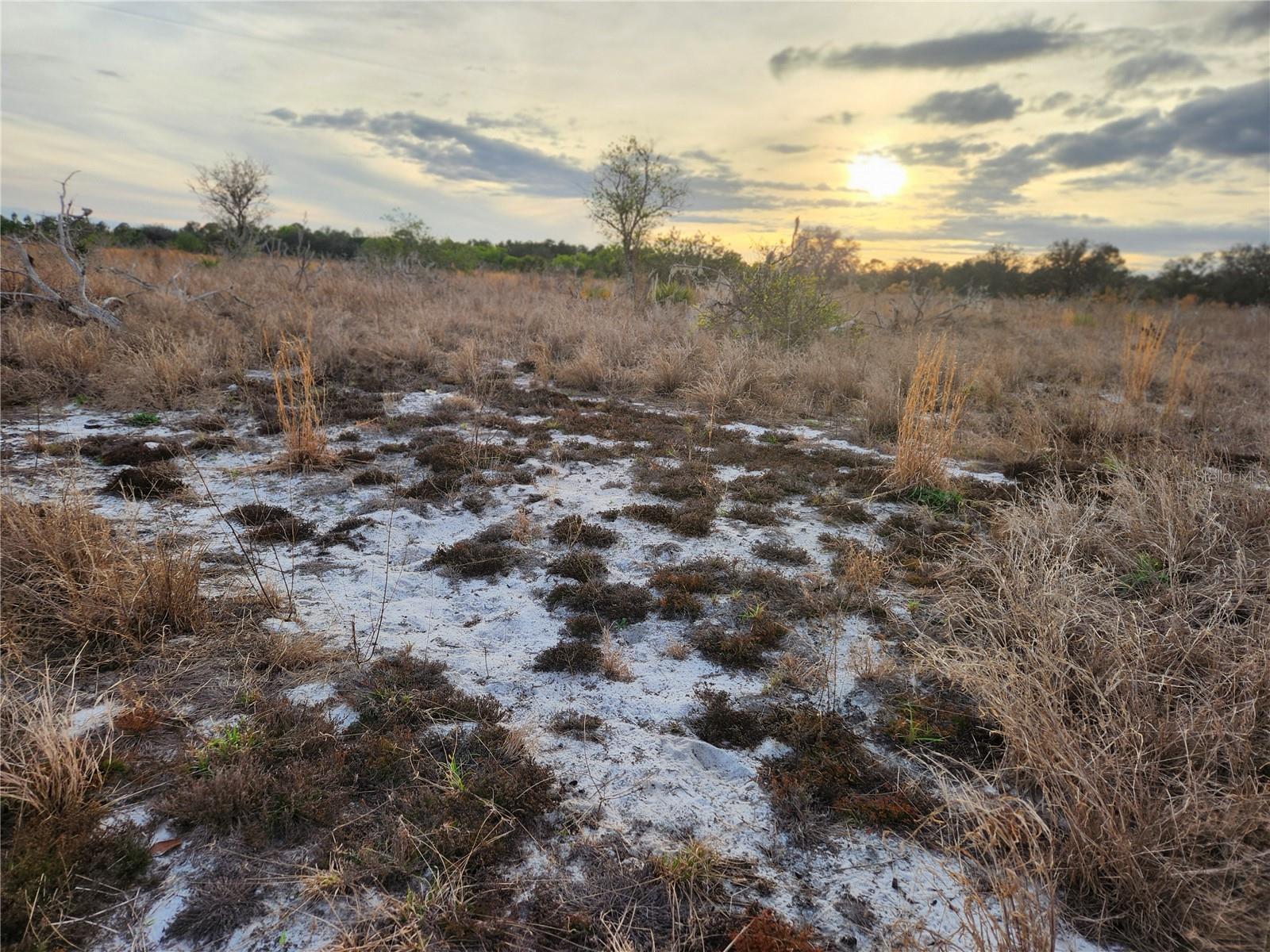 OAKRIDGE ESTATES PHASE 10 PB 83 PG 5 LOT 11 LYING - Land