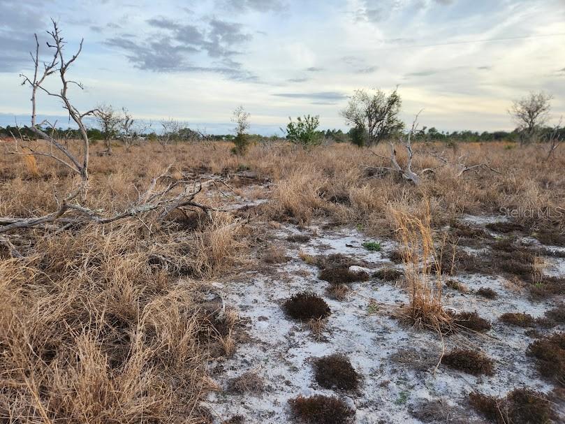 OAKRIDGE ESTATES PHASE 10 PB 83 PG 5 LOT 11 LYING - Land