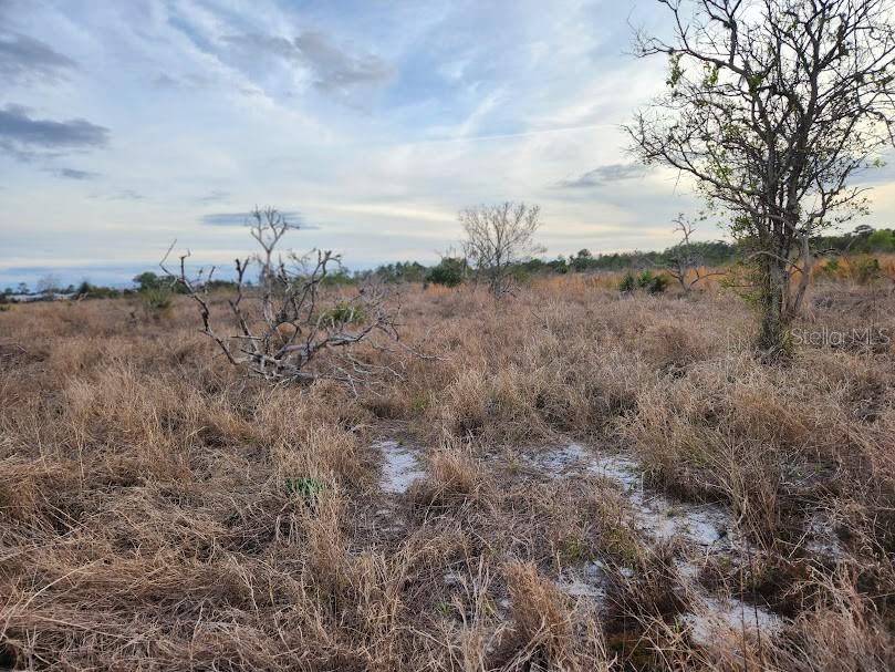 OAKRIDGE ESTATES PHASE 10 PB 83 PG 5 LOT 11 LYING - Land