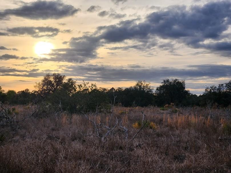 OAKRIDGE ESTATES PHASE 10 PB 83 PG 5 LOT 11 LYING - Land