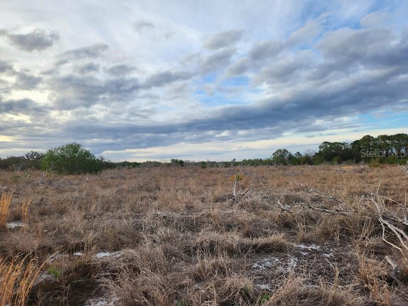 OAKRIDGE ESTATES PHASE 10 PB 83 PG 5 LOT 11 LYING - Land