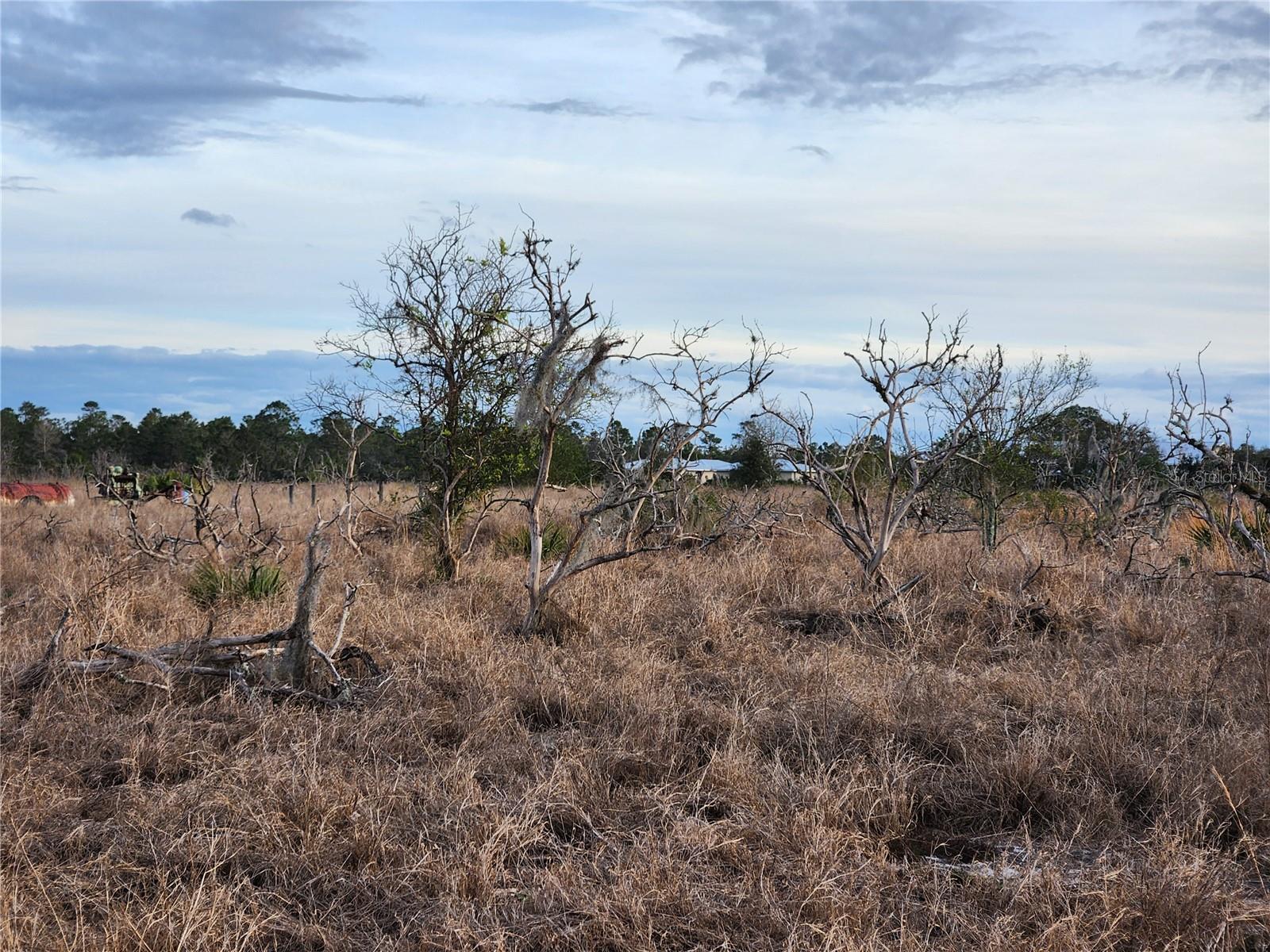 OAKRIDGE ESTATES PHASE 10 PB 83 PG 5 LOT 11 LYING - Land