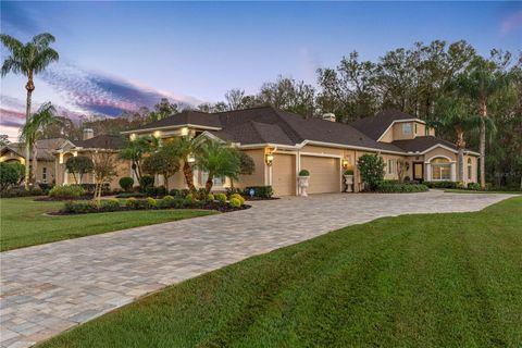 A home in NEW PORT RICHEY