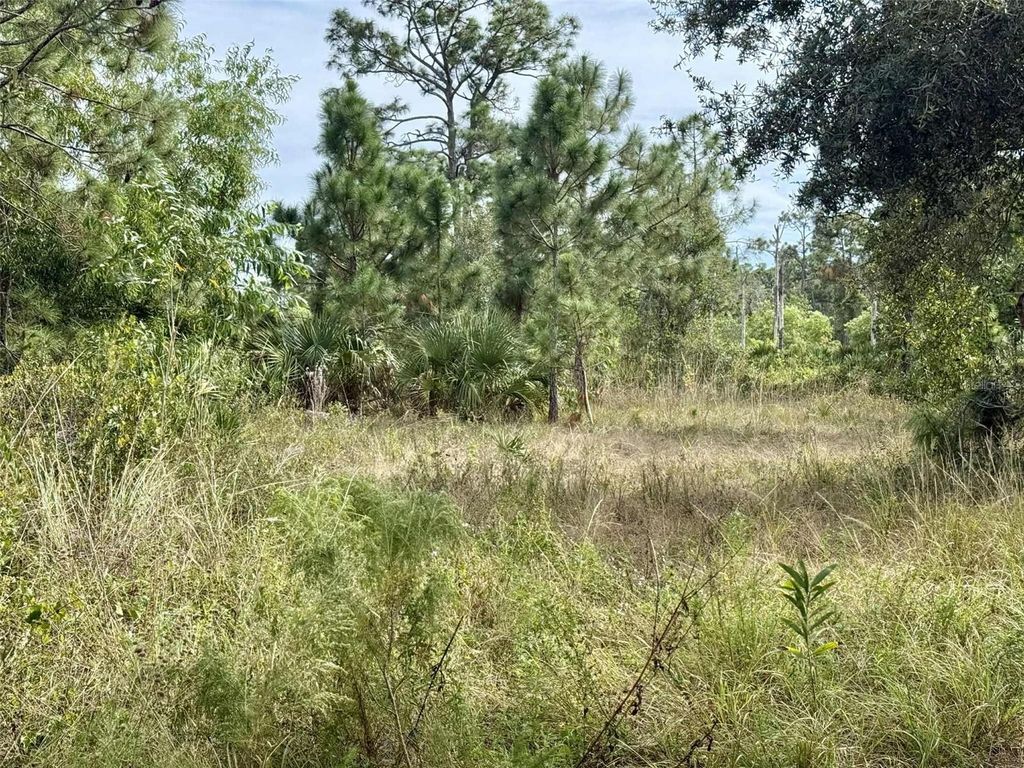 Photo of 27275 Notre Dame Boulevard, Punta Gorda, FL 33955 (MLS # C7517530)