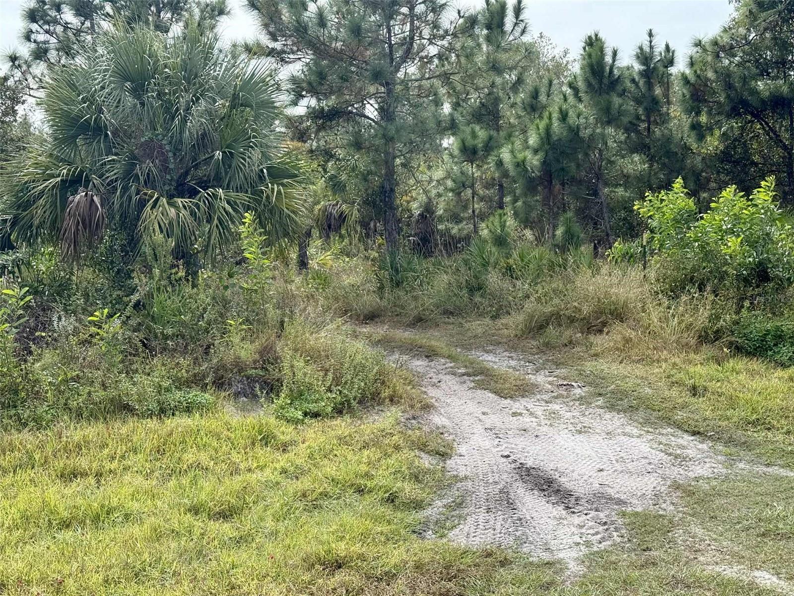 S P G HEIGHTS 1ST ADD - Land