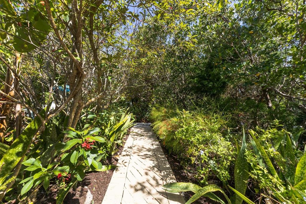 ISLAND CEDARS - Residential