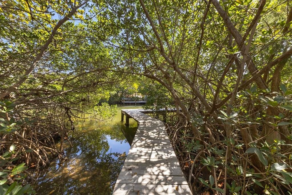 ISLAND CEDARS - Residential