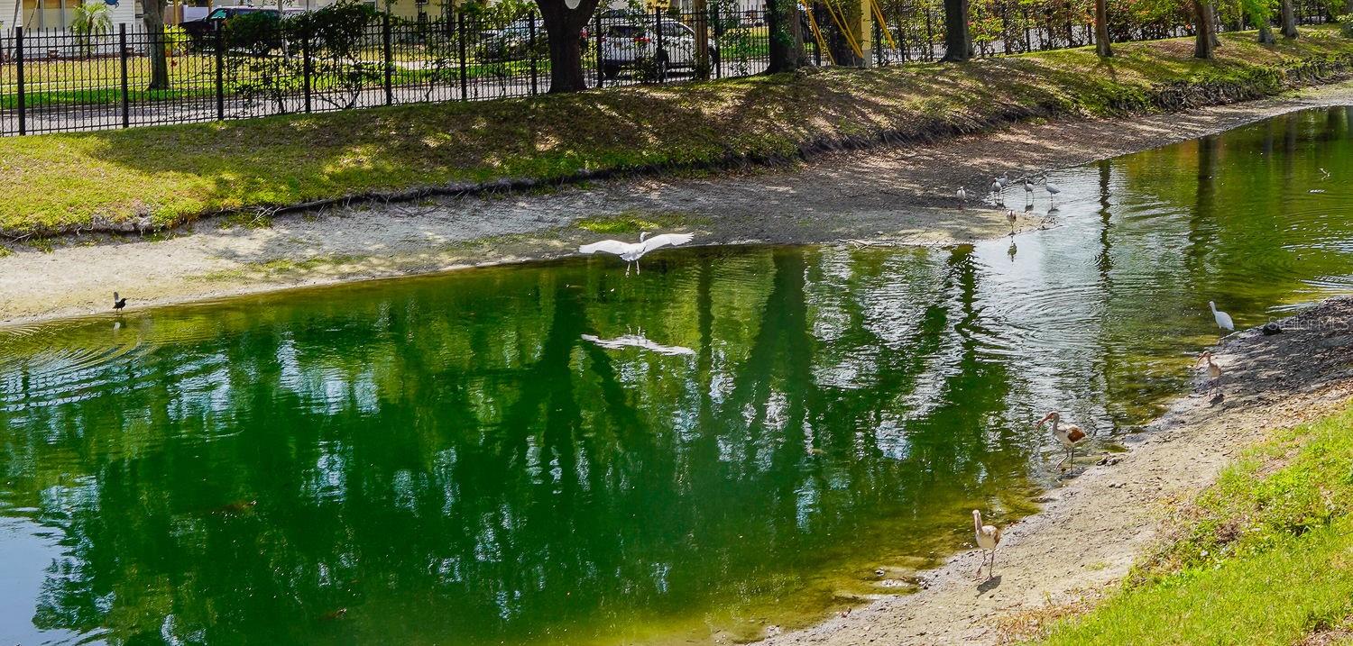 COQUINA KEY TWNHMS - Residential