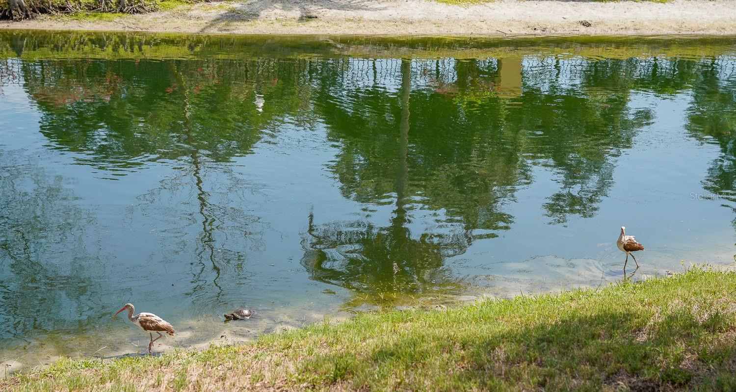 COQUINA KEY TWNHMS - Residential