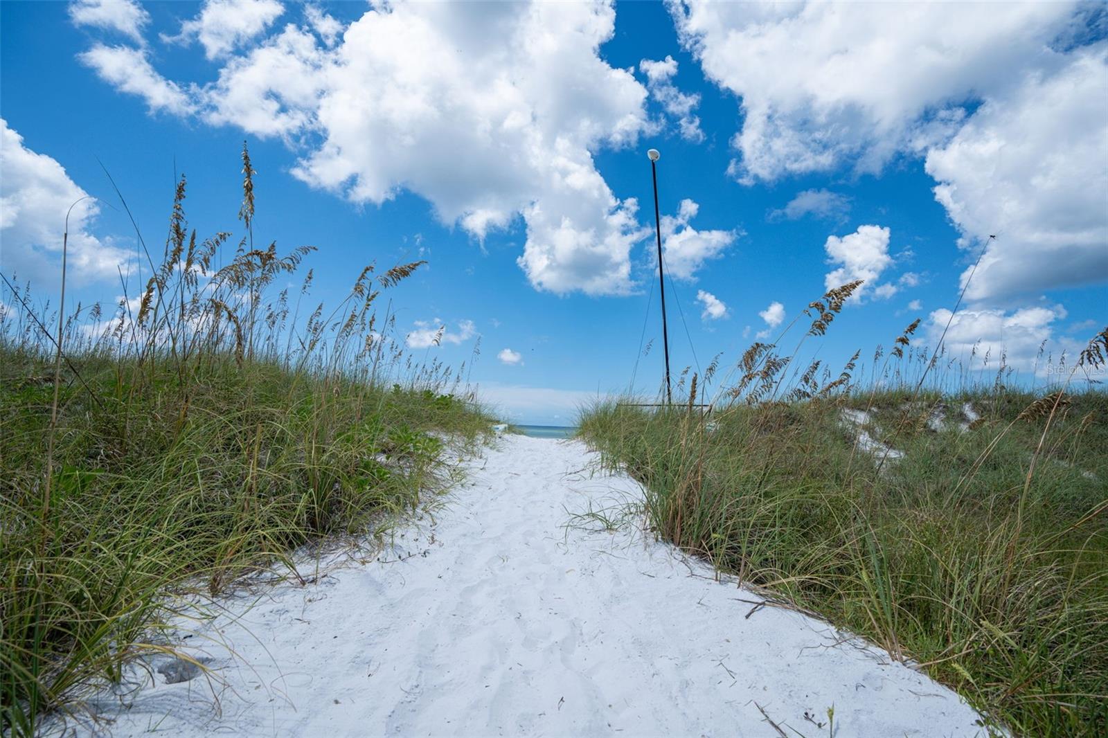 HARBOR TOWERS Y & R - Residential