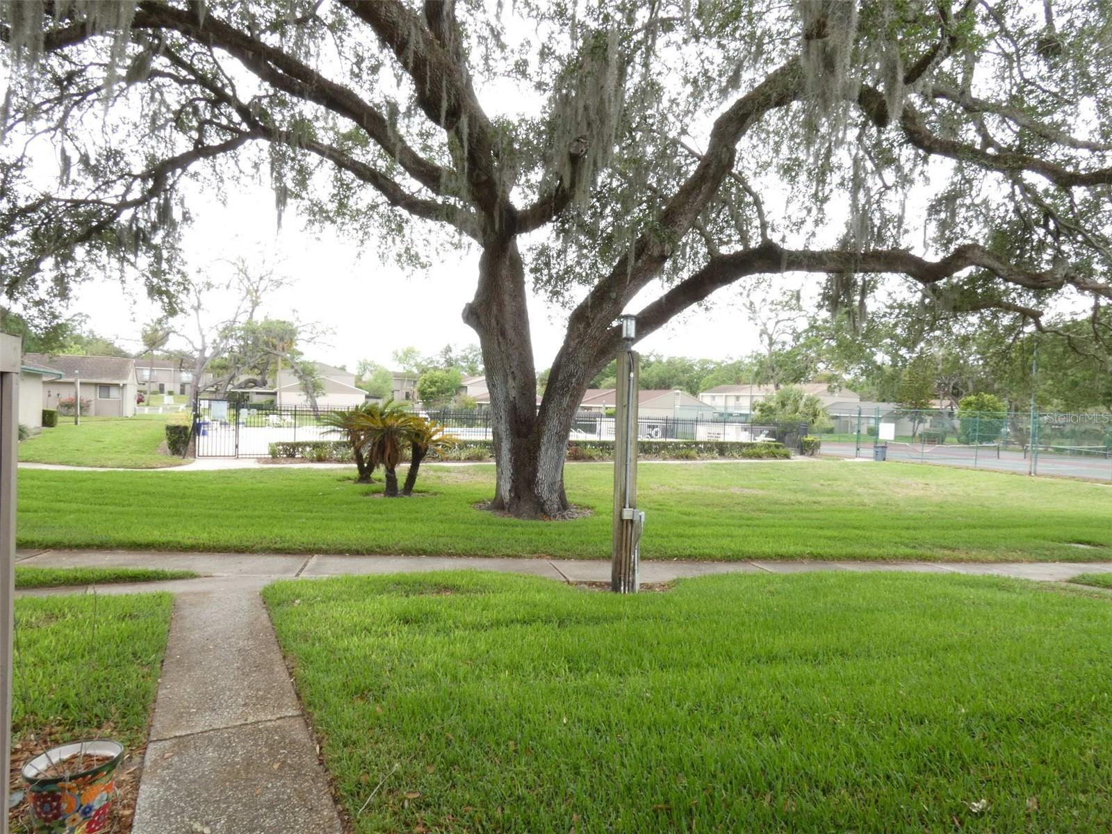 MEADOWOOD CONDO VILLAGE - Residential