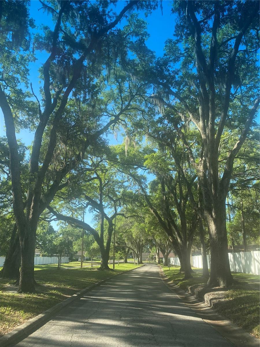 MEADOWOOD CONDO VILLAGE - Residential