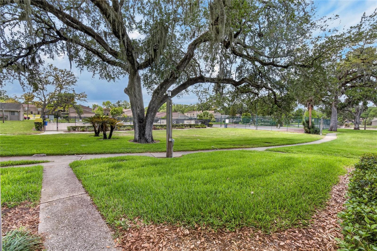 MEADOWOOD CONDO VILLAGE - Residential