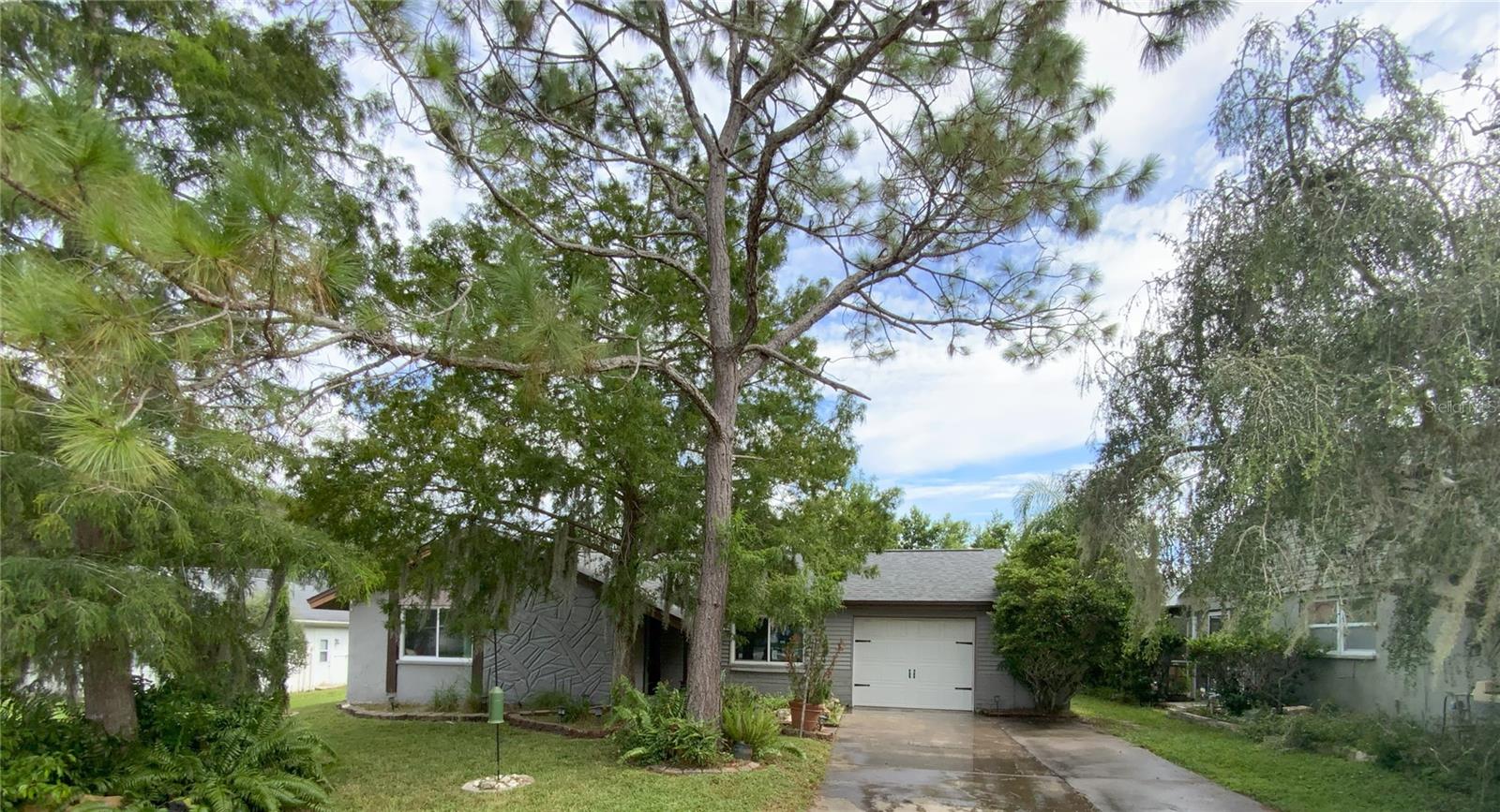 Welcome to 8804 Lincolnshire Dr, located in the heart of Beacon Woods Village, a wonderful community filled with great amenities like a community pool, club house, bocce, tennis court, basketball court, pickle ball courts, and more. There is also a wonderful golf course offering membership and public play, no CDD, and low HOA fees. This is a well-maintained home inside and out, it has great curb appeal, and is move-in-ready. The worry-free exterior of the home has great landscaping, beautiful impact windows (2020 energy efficent), updated garage door (2020), and updated roof (2019). As you enter the home, you are greeted by a lovely foyer and luxury vinyl flooring throughout adding warmth, beauty, and durability. This open and airy, well-designed home features a spacious living room, dining area, and a family room. The kitchen is perfectly positioned in the heart of the home and features granite countertops and stainless-steel appliances. There is a spacious screened in patio located off the family room, which is perfect for entertaining or just relaxing. The primary bedroom has an on suite and walk-in closet. There is a second bedroom and bathroom perfectly located off the family room. This wonderful home is ready for a lucky new family. Don’t miss this chance to own a slice of paradise perfectly located close to shopping, dining, beaches, and more. Schedule a showing today.