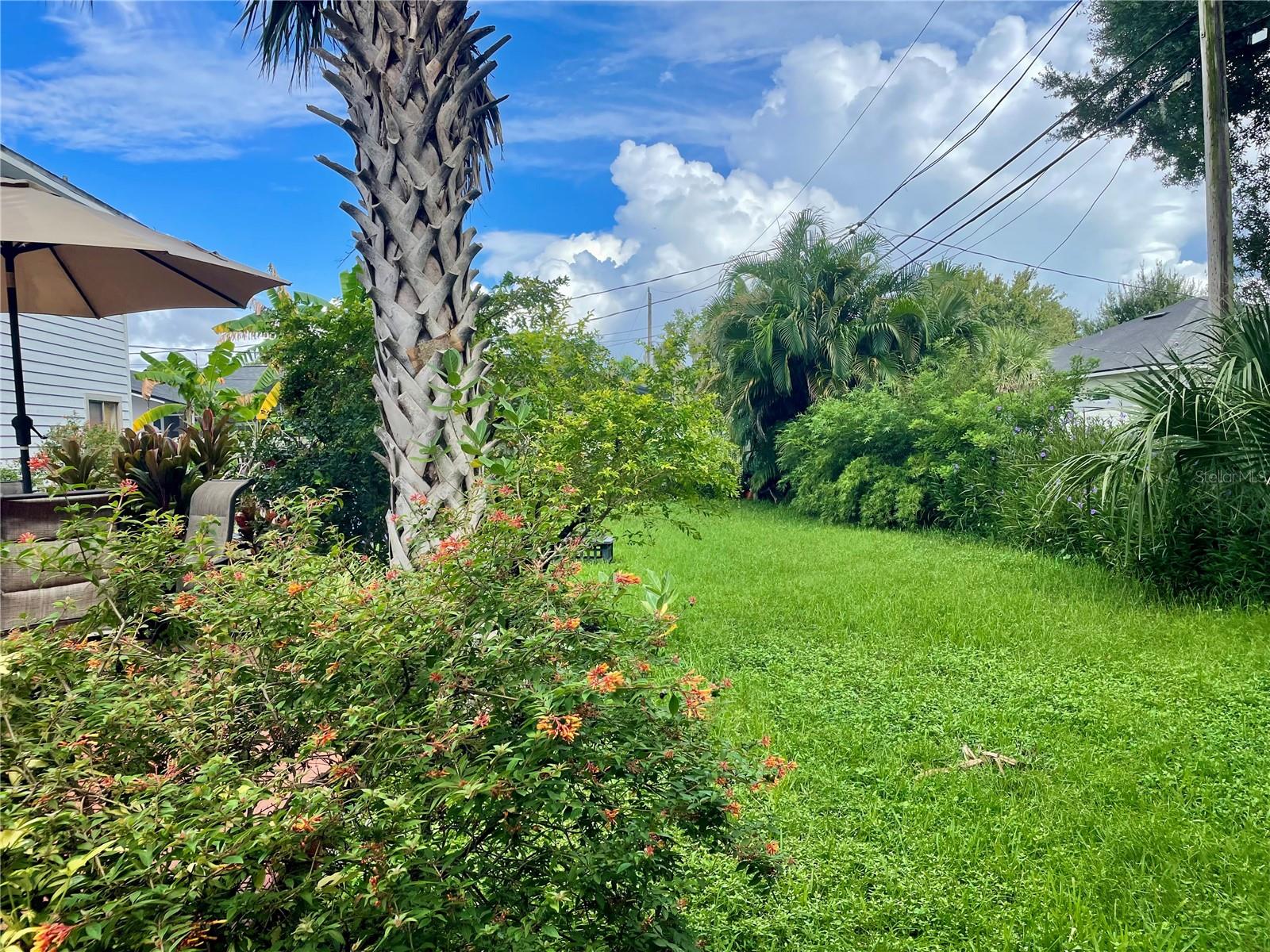 FLORIDA SHORES 01 - Residential