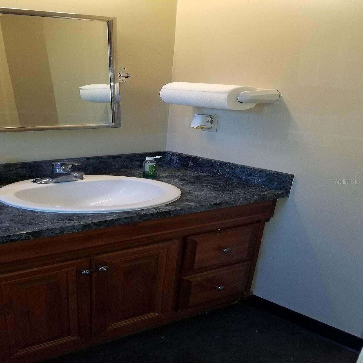 SPRING LAKE MANOR - Commercial Sale