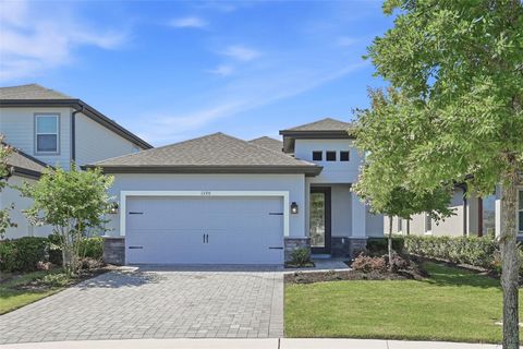 Photo of 1390 Remick Court, Kissimmee, FL 34747 (MLS # TB8503993)