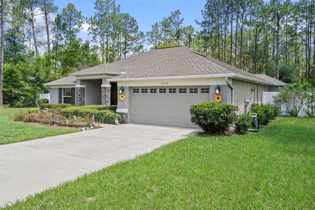 Photo of 15577 Sago Drive, Brooksville, FL 34604 (MLS # TB8523095)