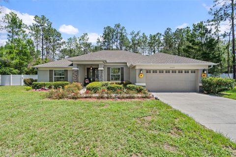 Photo of 15577 Sago Drive, Brooksville, FL 34604 (MLS # TB8523095)