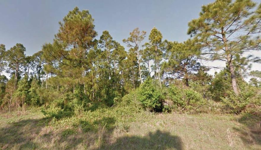 Two adjacent residential lots for sale in the growing city of North Port, totaling nearly half an acre! Priced together at $19,000, or $12,000 each if sold separately, this is a great opportunity to secure side-by-side parcels in the desirable Port Charlotte subdivision. Zoned AC6. Ideal for building now or holding as a long-term investment. Convenient access to I-75, shopping, schools, and Gulf Coast beaches. Buy both for added space, privacy, or future resale flexibility.

All information is deemed reliable but should be independently verified.